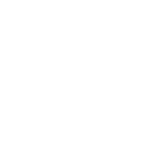 fire icon